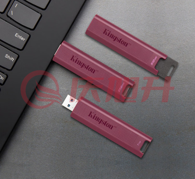 金士顿  256GB USB3.2 Type-A 超极速固态U盘 DTMAXA 读速高达1000MB/s 写速900MB/s b45 SKU：QXS13683