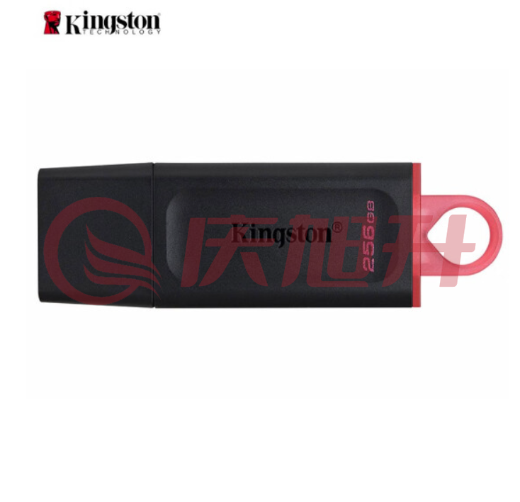 金士顿DTX/256GB USB3.2 Gen 1 U盘 SKU：QXS13759