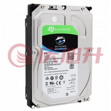 希捷(Seagate)硬盘6TB 256MB 5400转 SATA 垂直 机械 PMR CMR 希捷酷鹰 SKU：QXS13940